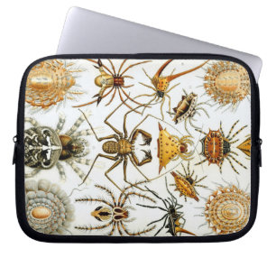 Vintag Haeckel Bugs & Spiders Laptopschutzhülle