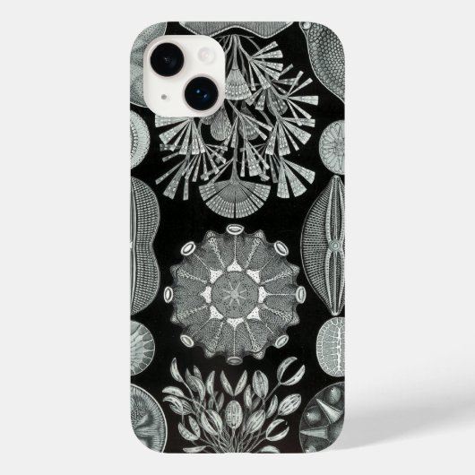 Vintag Haeckel Case-Mate iPhone Hülle (Rückseite)