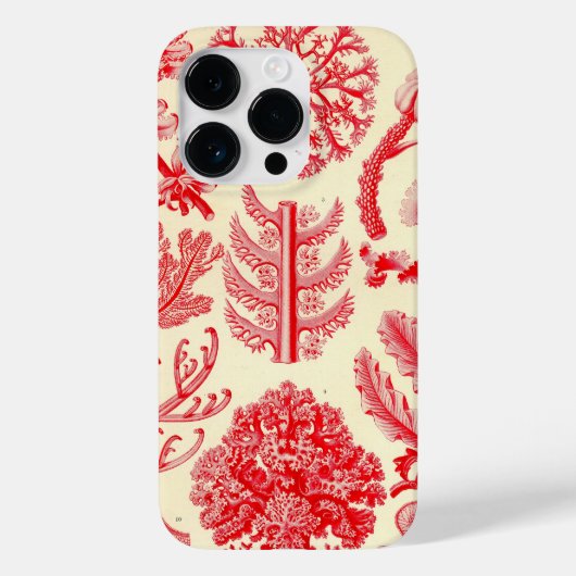 Vintag Haeckel Case-Mate iPhone Hülle (Rückseite)