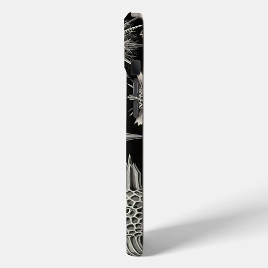 Vintag Haeckel Case-Mate iPhone Hülle (Rückseite / Links)