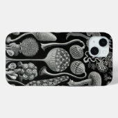 Vintag Haeckel Case-Mate iPhone Hülle (Rückseite (Horizontal))