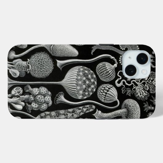 Vintag Haeckel Case-Mate iPhone Hülle (Rückseite (Horizontal))