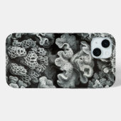 Vintag Haeckel Case-Mate iPhone Hülle (Rückseite (Horizontal))