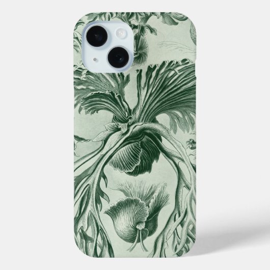 Vintag Haeckel Case-Mate iPhone Hülle (Rückseite)
