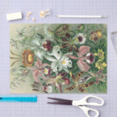 Vintag Haeckel farbiges Orchid Lithoster Seidenpapier (Handwerk)