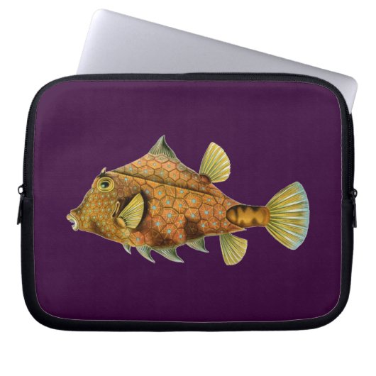 Vintag Haeckel Fish Laptopschutzhülle (Vorderseite)