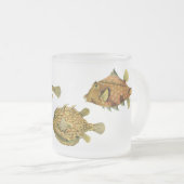 Vintag Haeckel Fish Mattglastasse (VorderseiteRechts)