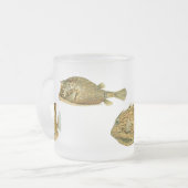 Vintag Haeckel Fish Mattglastasse (Vorderseite Links)