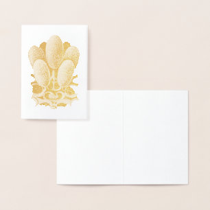 Vintag Haeckel Folienkarte