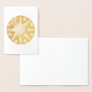 Vintag Haeckel Folienkarte