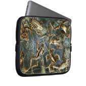 Vintag Haeckel Frogs Laptopschutzhülle (Vorne Rechts)