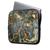 Vintag Haeckel Frogs Laptopschutzhülle (Vorderseite Links)