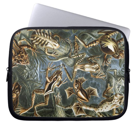 Vintag Haeckel Frogs Laptopschutzhülle (Vorderseite)