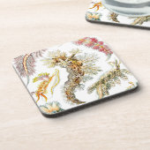 Vintag Haeckel Getränkeuntersetzer (Linke Seite)