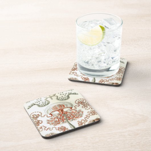 Vintag Haeckel Getränkeuntersetzer (Rechte Seite)