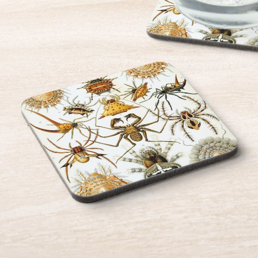 Vintag Haeckel Getränkeuntersetzer (Linke Seite)