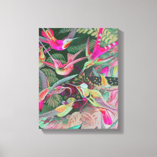 Vintag Haeckel Hummingbirds ummantelte Canvas Leinwanddruck (Vorderseite)