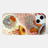 Vintag Haeckel Jellyfish Case-Mate iPhone Hülle (Rückseite (Horizontal))