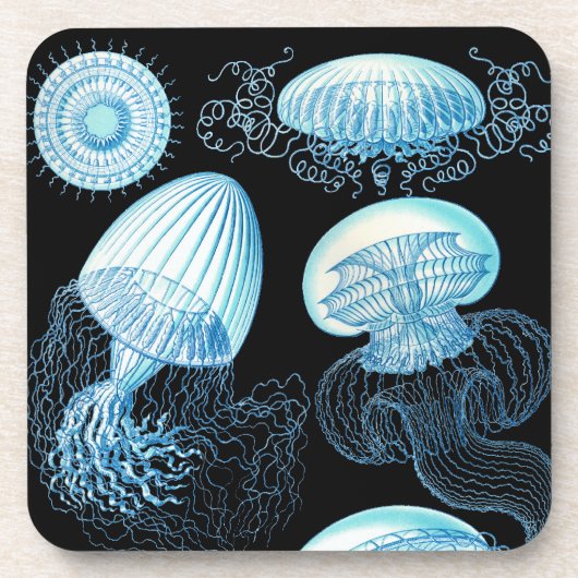 Vintag Haeckel Jellyfish Untersetzer (Vorderseite)