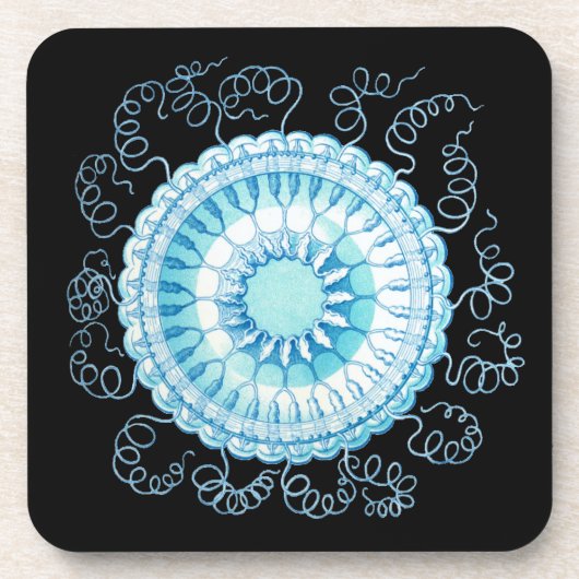 Vintag Haeckel Jellyfish Untersetzer (Vorderseite)