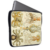 Vintag Haeckel Laptopschutzhülle (Vorne Rechts)