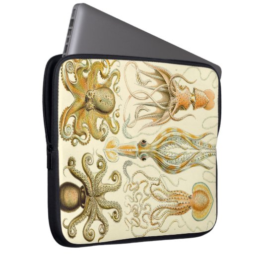 Vintag Haeckel Laptopschutzhülle (Vorne Rechts)