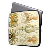 Vintag Haeckel Laptopschutzhülle (Vorderseite Links)