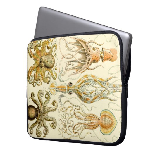 Vintag Haeckel Laptopschutzhülle (Vorderseite Links)