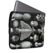 Vintag Haeckel Laptopschutzhülle (Vorne Rechts)