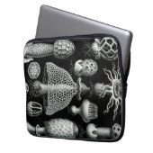 Vintag Haeckel Laptopschutzhülle (Vorderseite Links)
