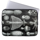 Vintag Haeckel Laptopschutzhülle (Vorderseite)