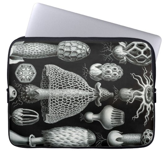 Vintag Haeckel Laptopschutzhülle (Vorderseite)