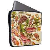 Vintag Haeckel Laptopschutzhülle (Vorne Rechts)