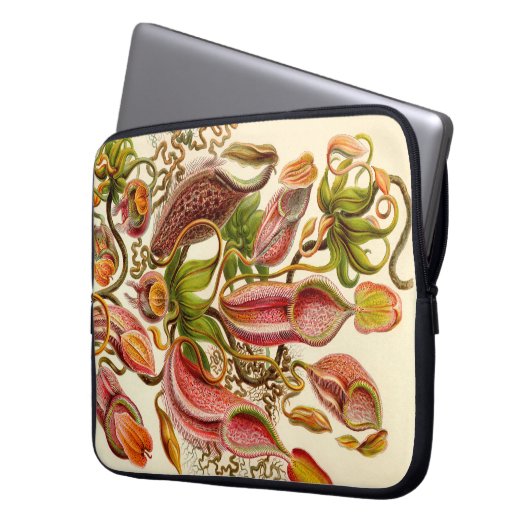 Vintag Haeckel Laptopschutzhülle (Vorderseite Links)