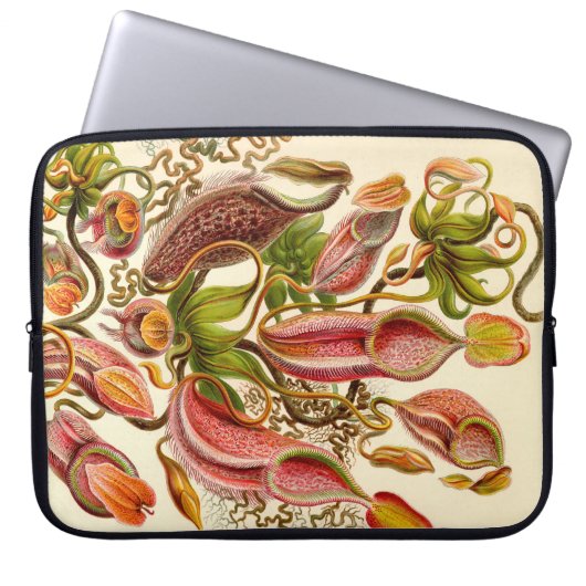 Vintag Haeckel Laptopschutzhülle (Vorderseite)