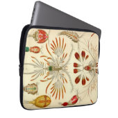 Vintag Haeckel Laptopschutzhülle (Vorne Rechts)