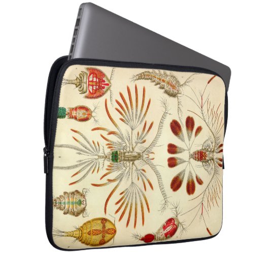 Vintag Haeckel Laptopschutzhülle (Vorne Rechts)