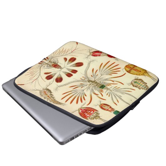 Vintag Haeckel Laptopschutzhülle (Vorne Knopf)