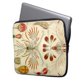 Vintag Haeckel Laptopschutzhülle (Vorderseite Links)