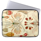 Vintag Haeckel Laptopschutzhülle (Vorderseite)