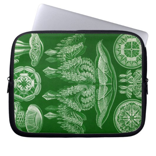 Vintag Haeckel Laptopschutzhülle (Vorderseite)