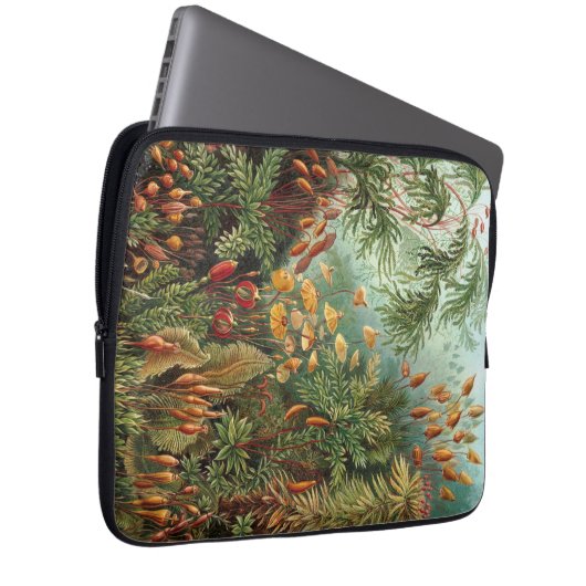 Vintag Haeckel Laptopschutzhülle (Vorne Rechts)