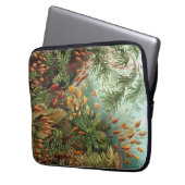 Vintag Haeckel Laptopschutzhülle (Vorderseite Links)