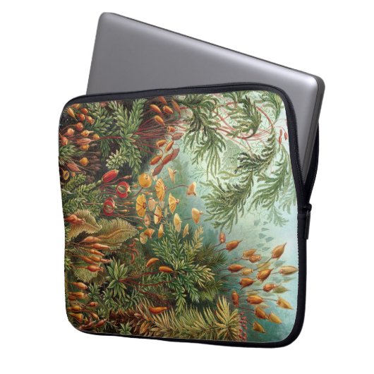 Vintag Haeckel Laptopschutzhülle (Vorderseite Links)