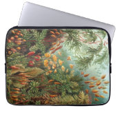 Vintag Haeckel Laptopschutzhülle (Vorderseite)