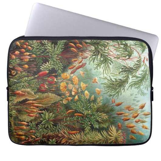 Vintag Haeckel Laptopschutzhülle (Vorderseite)