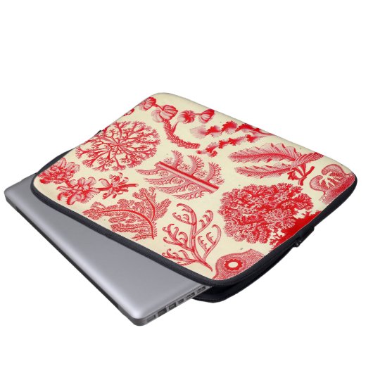 Vintag Haeckel Laptopschutzhülle (Vorne Knopf)