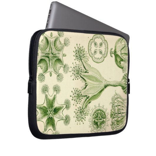 Vintag Haeckel Laptopschutzhülle (Vorne Rechts)