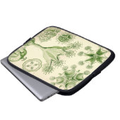 Vintag Haeckel Laptopschutzhülle (Vorne Knopf)