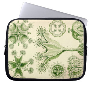 Vintag Haeckel Laptopschutzhülle